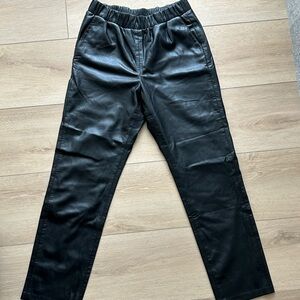 Anine Bing Vegan Leather Trousers